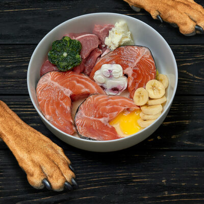 3 Foods Suitable for Dogs with Allergies