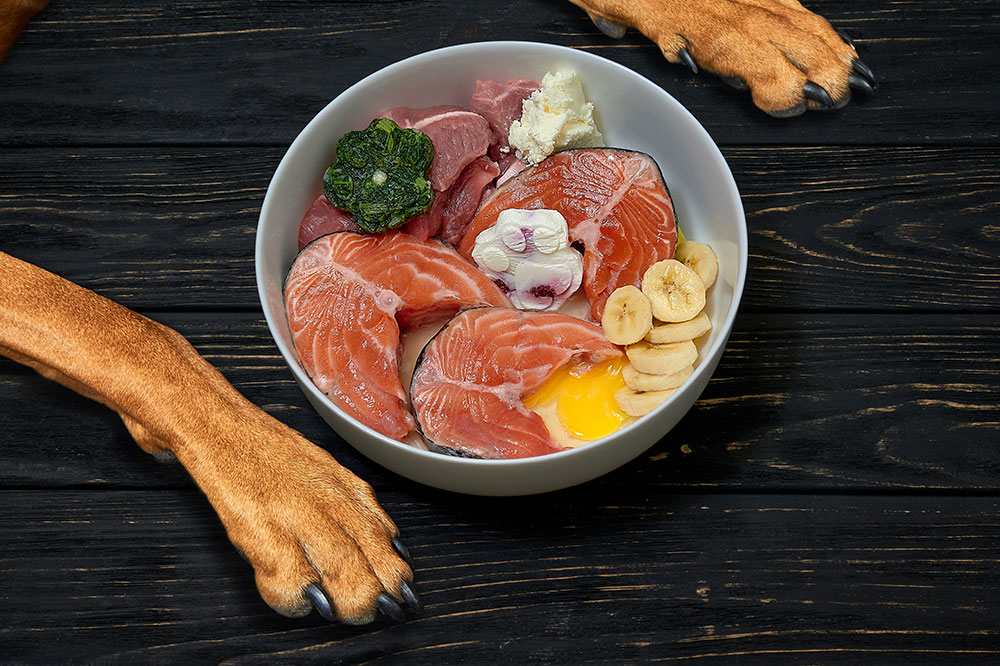 3 Foods Suitable for Dogs with Allergies