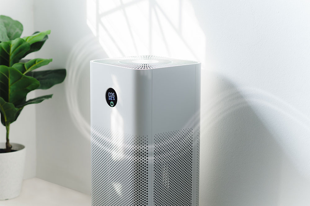 5 of the Best Air Purifiers on the Market